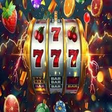 b031 Live Casino
